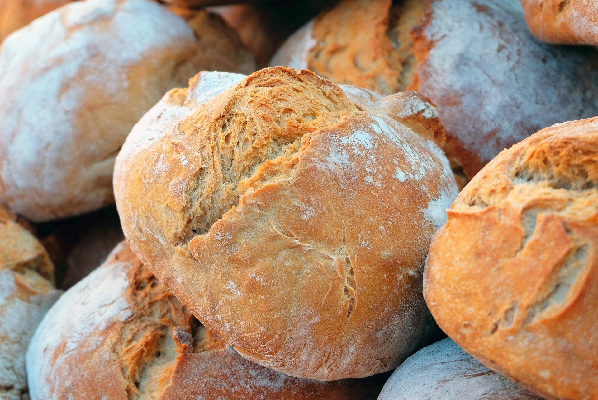 Brot & Brötchen